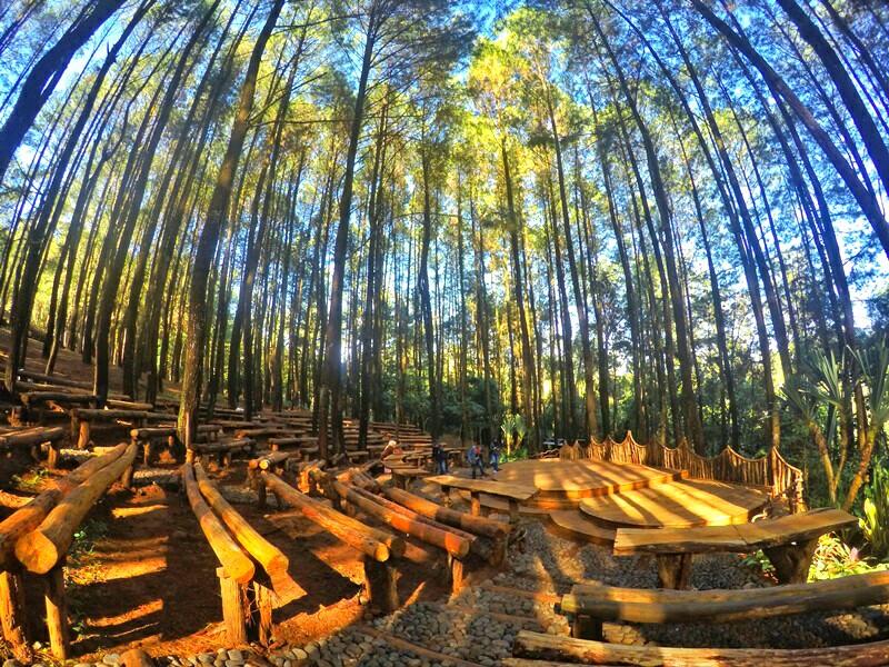 Lokasi Hutan Pinus Mangunan