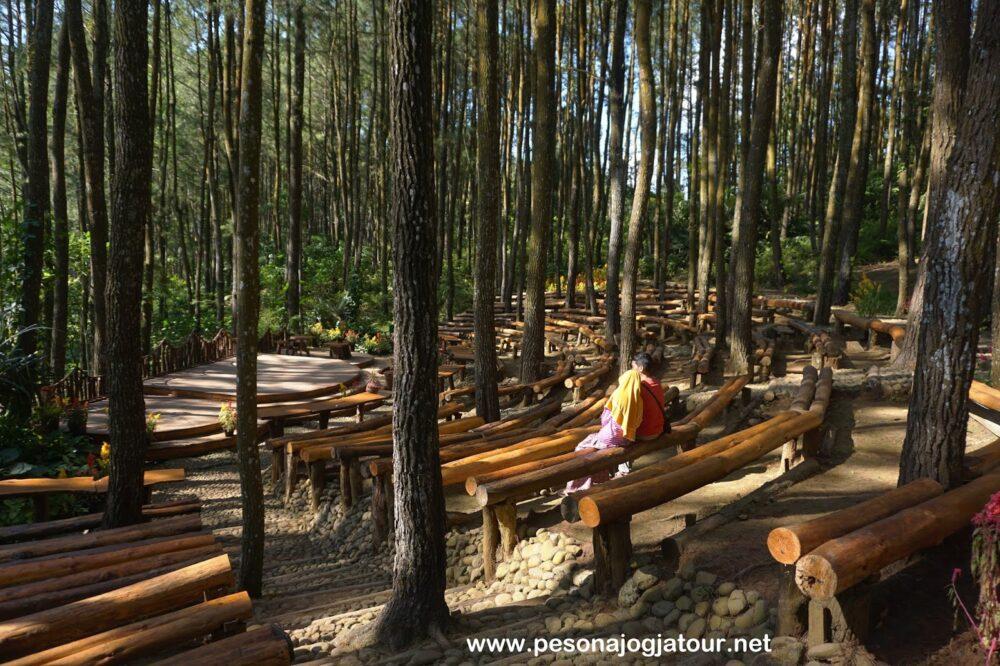 Wisata Paling Hits Di Jogja Hutan Pinus Mangunan